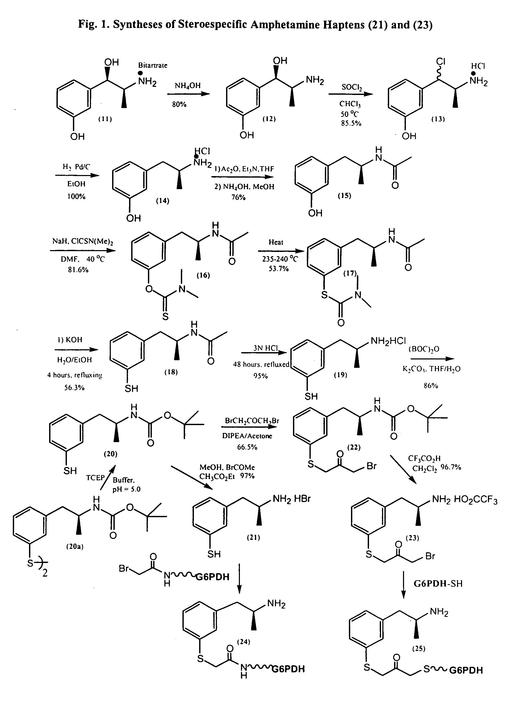 Assays for amphetamine and methamphetamine using stereospecific reagents