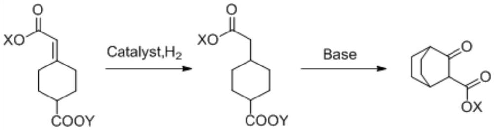 Process for preparation of 3-carbonyl-bicyclo[2.2.2]octane-2-formate
