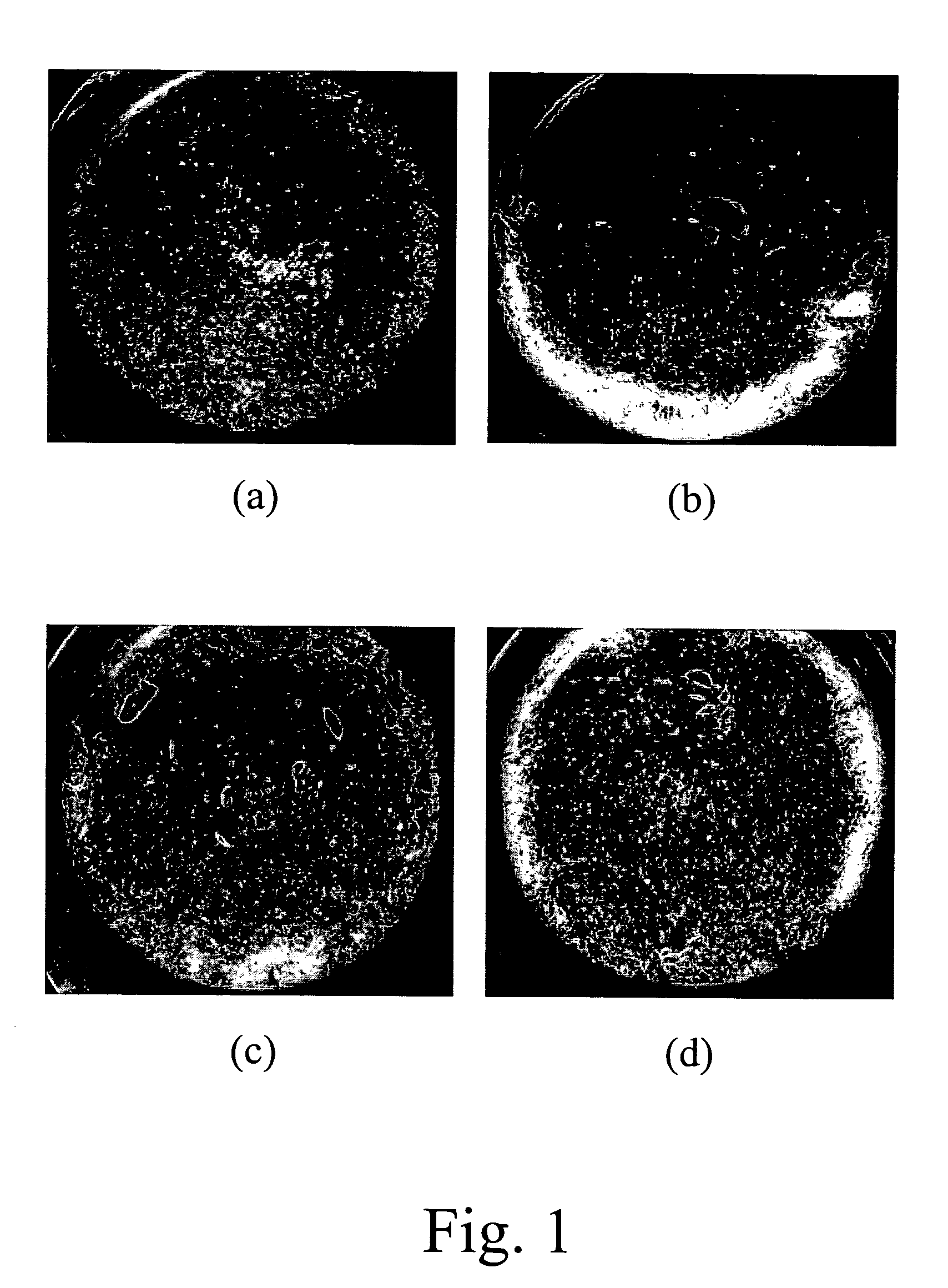 Methods for culturing human embryonic stem cells