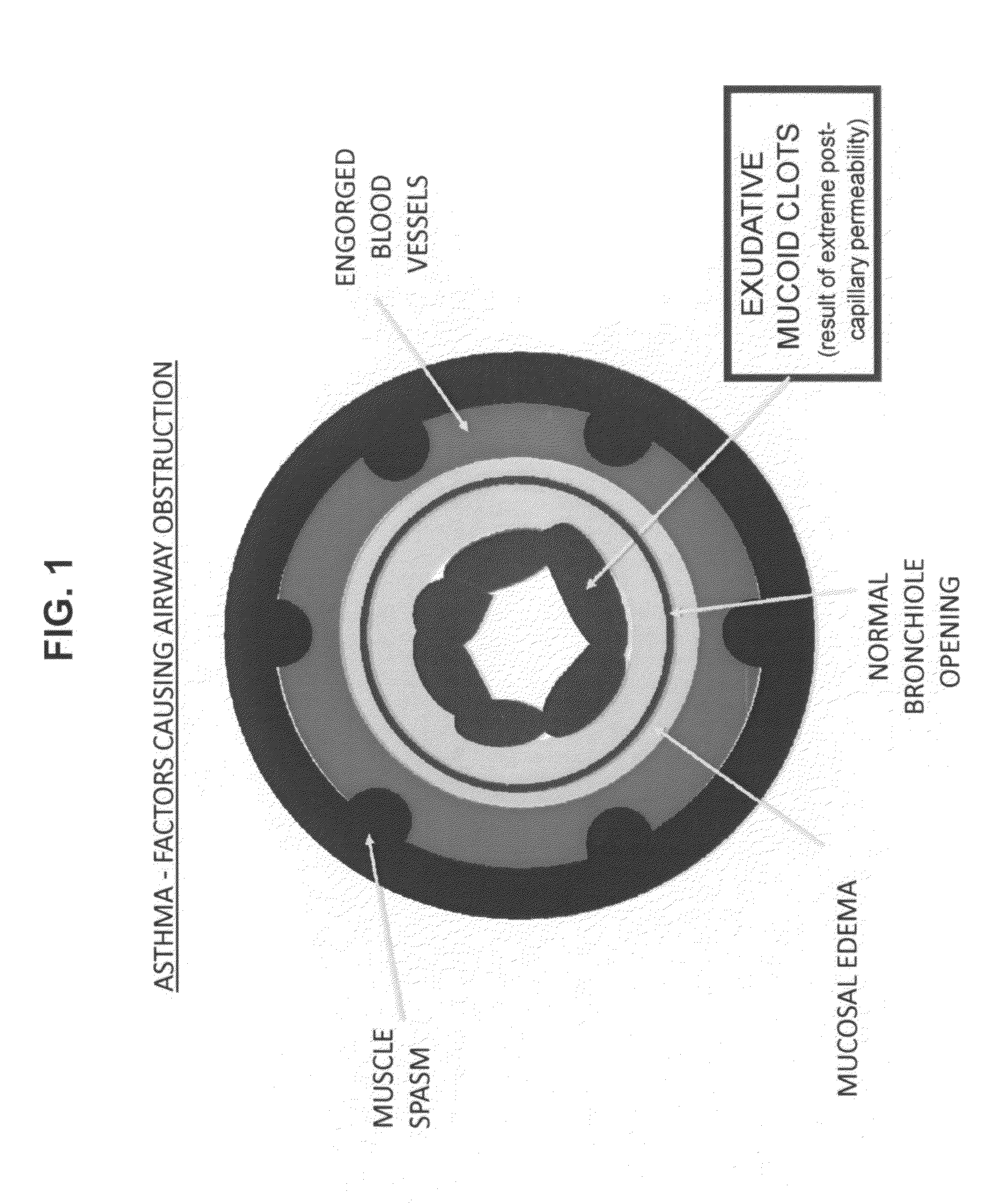 Compositions and methods for treatment of pulmonary diseases and conditions