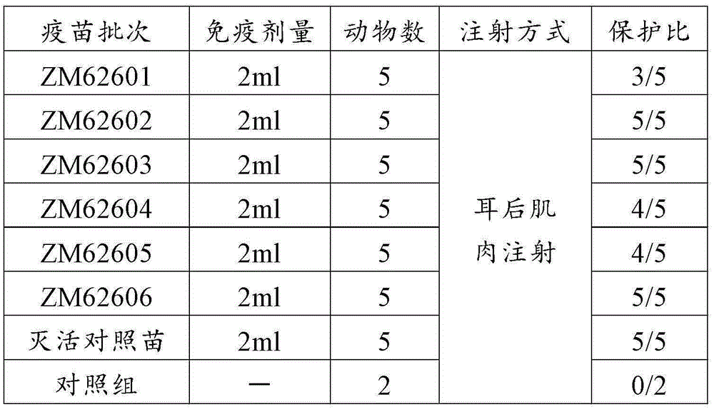 Polypeptide for preparing bovine foot-and-mouth disease asia type I peptide vaccine and its preparation method and application