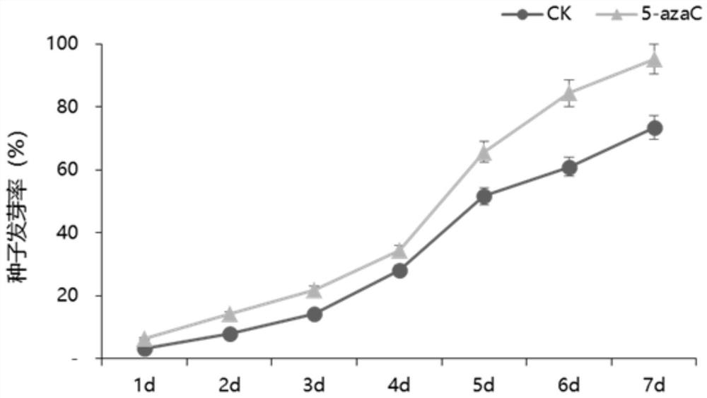 A method for regulating and controlling the content of ascorbic acid in tomato fruit and its application