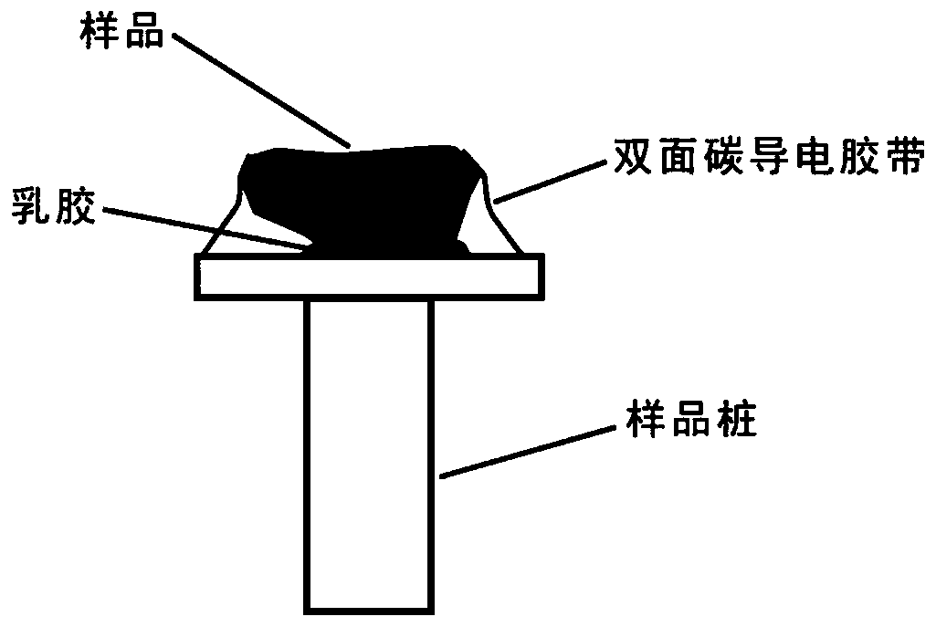 Glutenite sample preparation and treatment method for scanning electron microscope