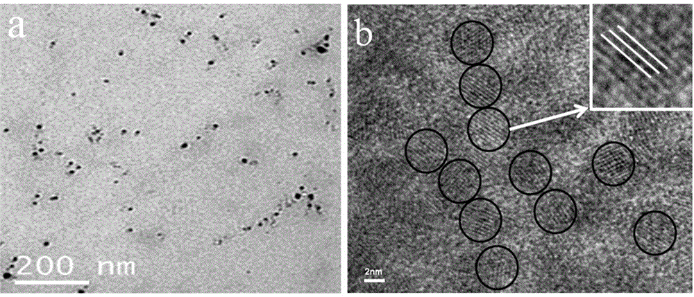 A preparation method of water-soluble cds-ag2s quantum dots with fluorescence energy transfer