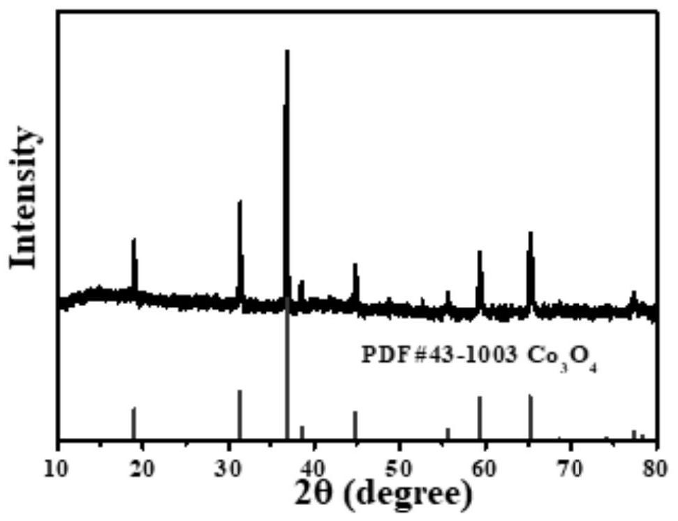 Layered Co3O4 lithium ion battery negative electrode material and preparation method thereof