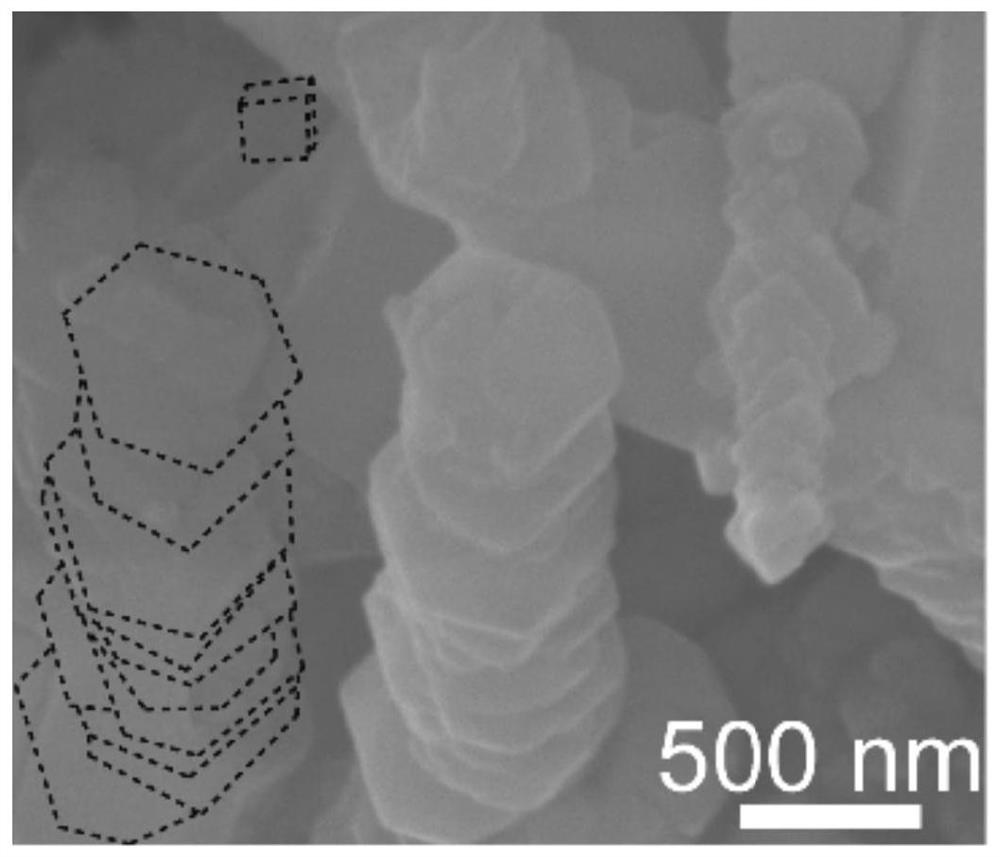 Layered Co3O4 lithium ion battery negative electrode material and preparation method thereof