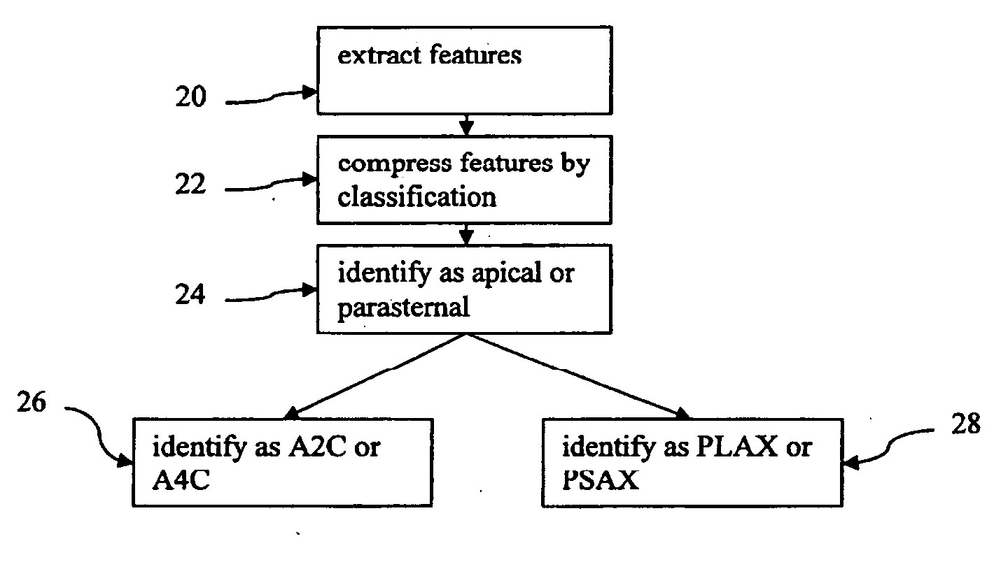 Hierarchical medical image view determination