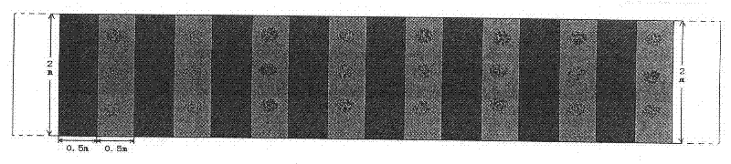 Method for treating sludge in large scale by utilizing earthworm