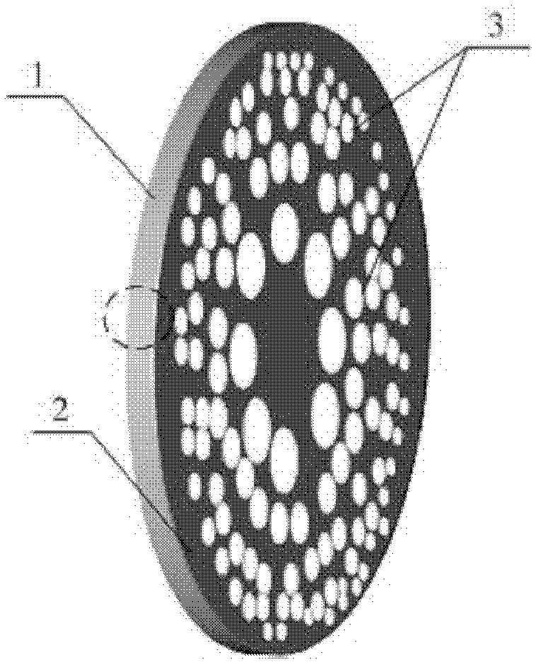 Photon sieve and manufacturing method thereof
