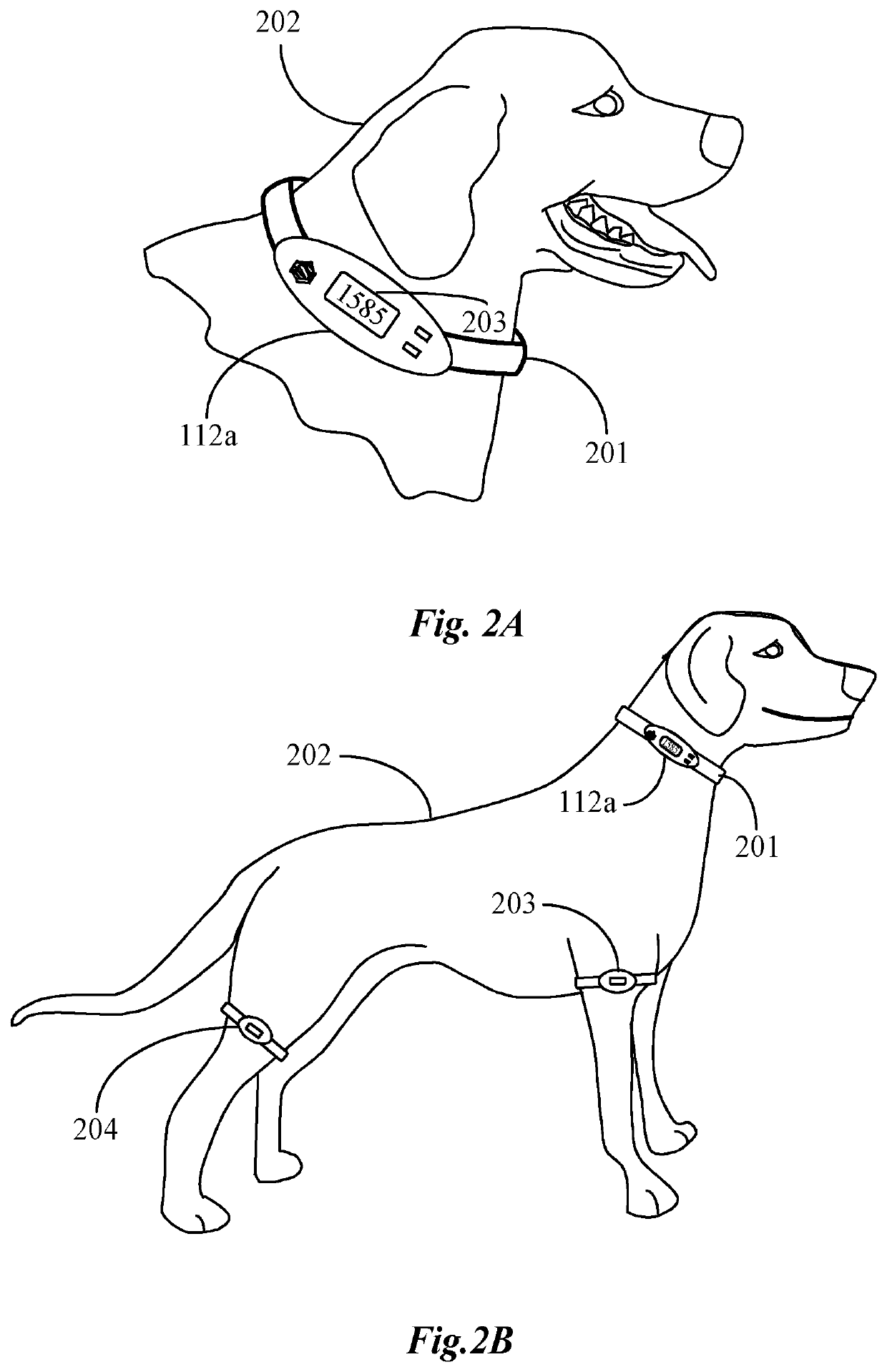 Network-based pet tracking and reporting system