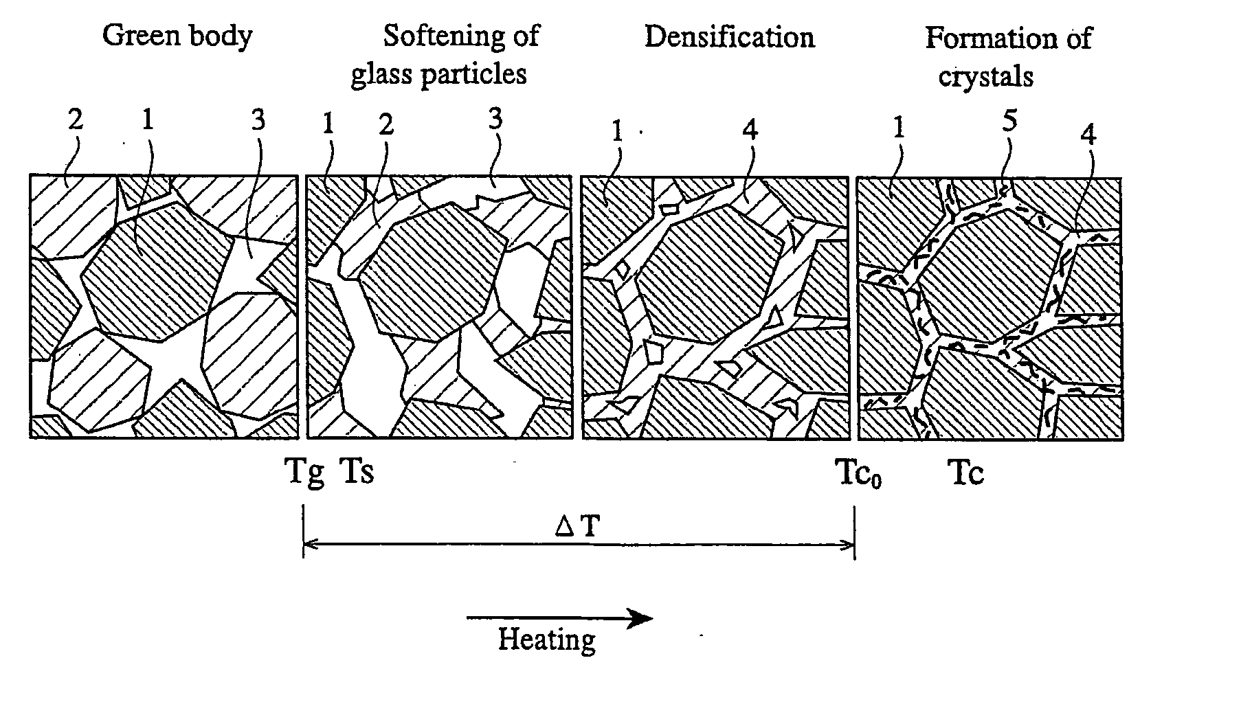 CaO-MgO-SiO2-based bioactive glass and sintered calcium phosphate glass using same