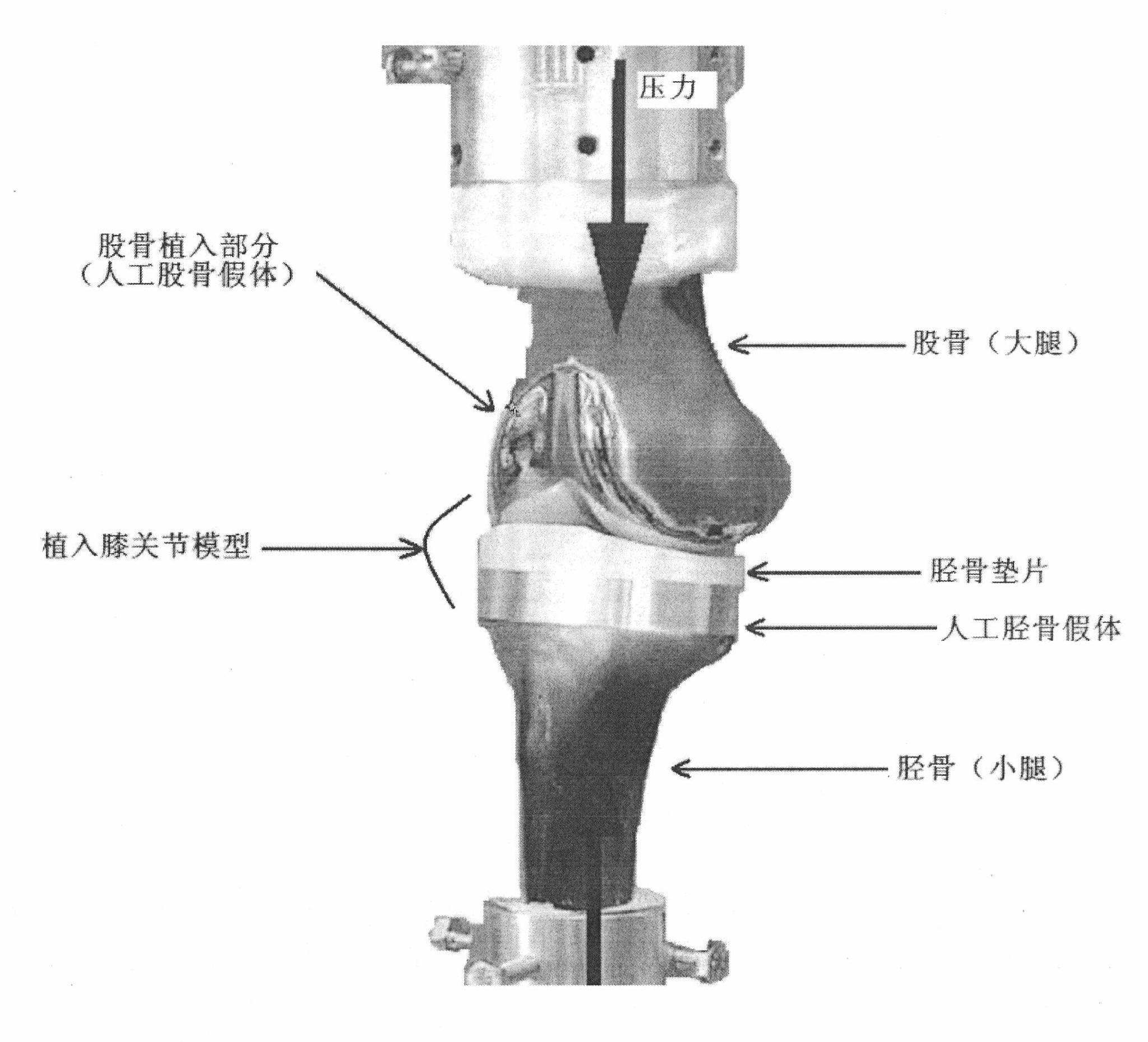 Total knee replacement pressure balance measuring system