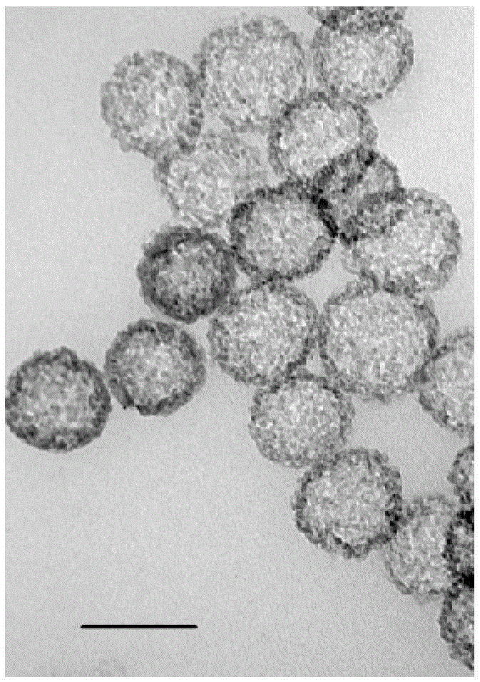 An organically modified hydrophobic nano-silica hollow sphere and its preparation