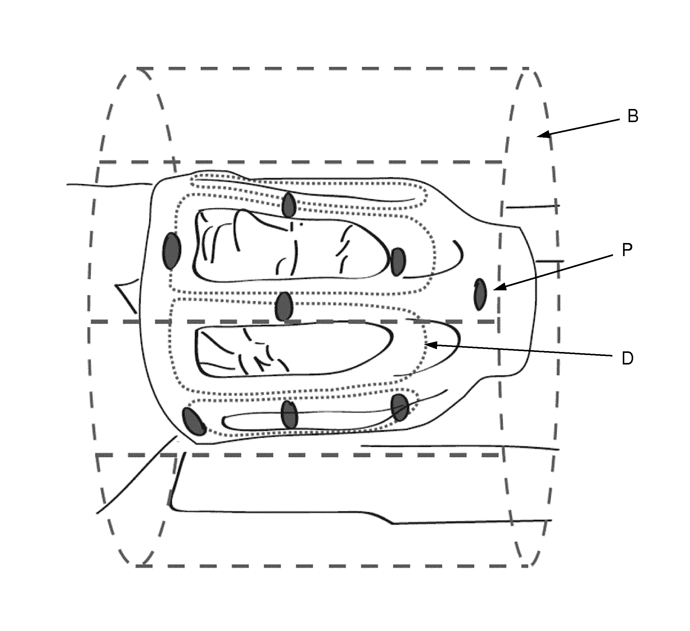 Dynamic Field Camera Arrangement for Magnetic Resonance Applications and Methods for Operating the Same