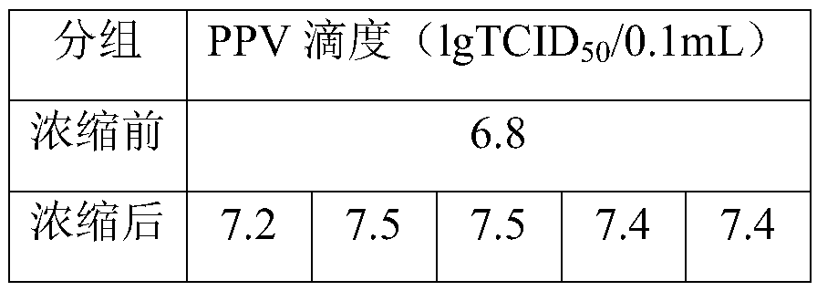 Virus liquid concentration method