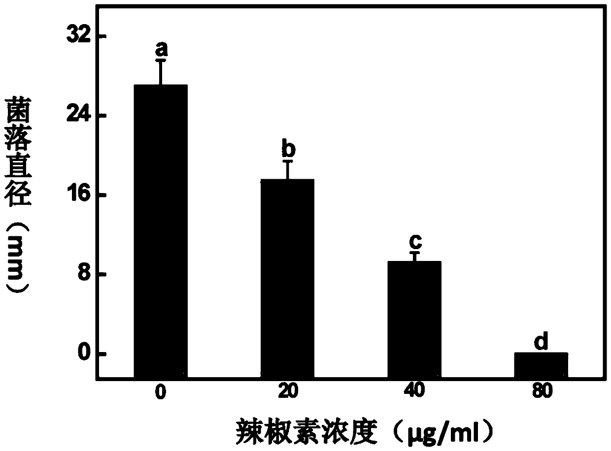 Botrytis cinerea inhibitor and application thereof