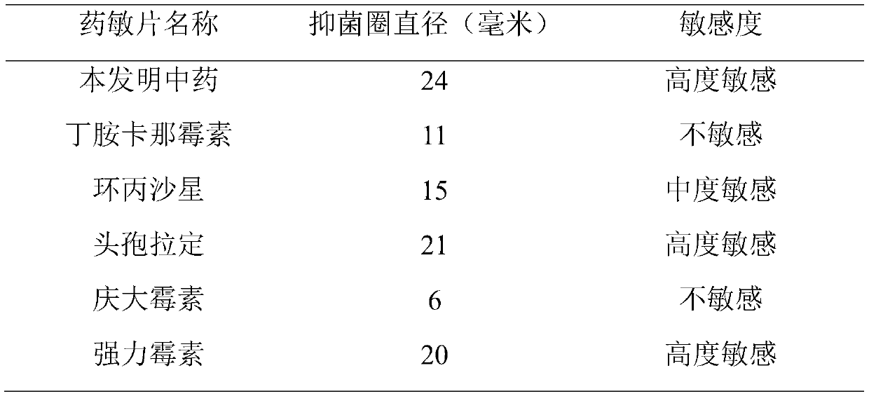 Traditional Chinese medicine composition for treating multiple serositis and arthritis of pigs and preparation method thereof