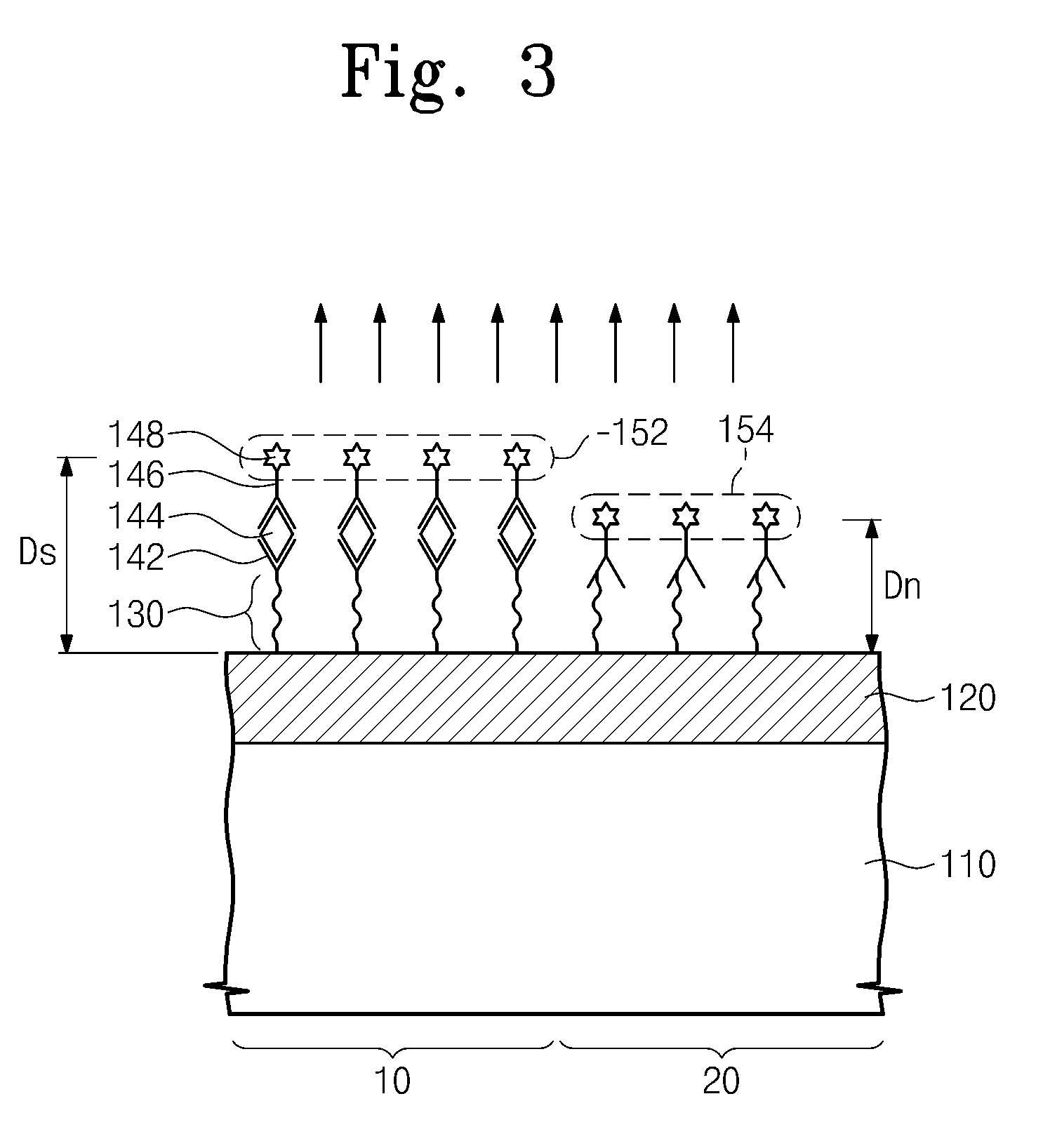 Biochip and apparatus for detecting biomaterial using biochip
