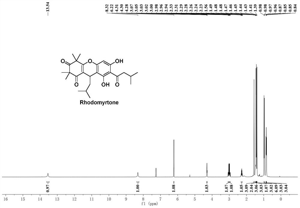 Improved preparation method of Rhodomyrtone