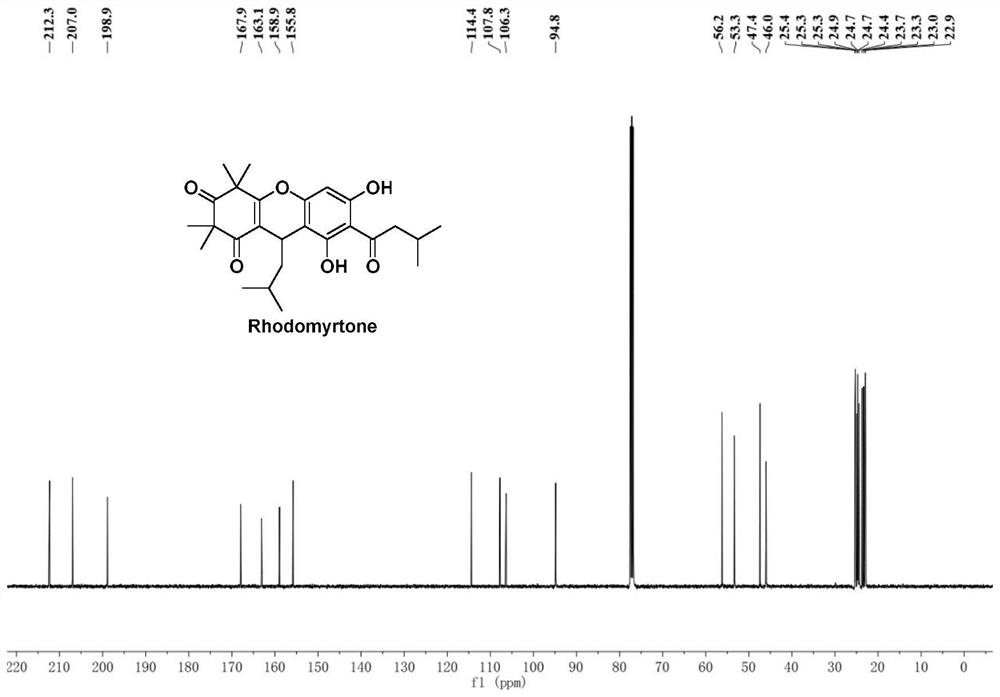 Improved preparation method of Rhodomyrtone