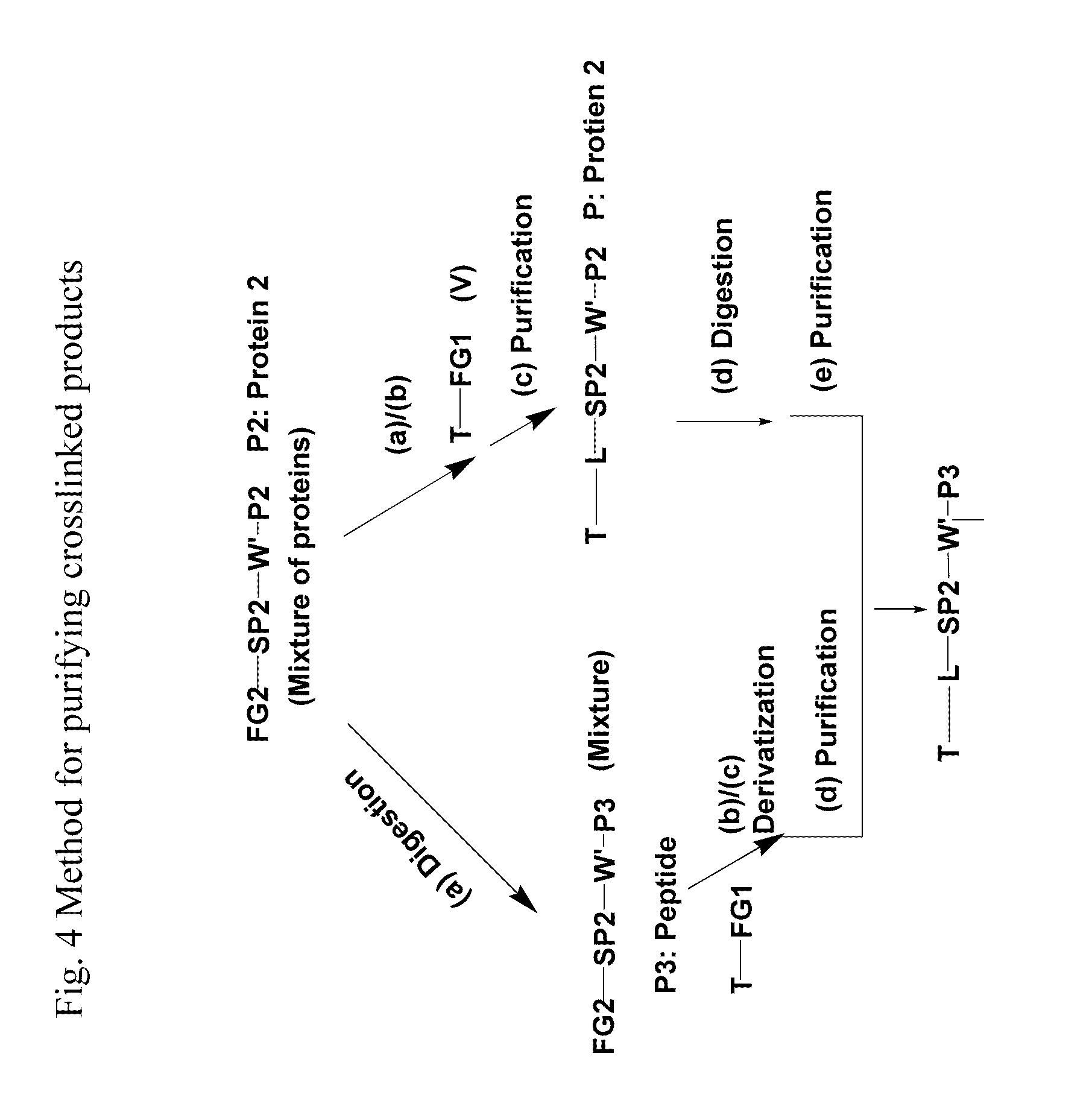 Crosslinking reagents, methods, and compositions for studying protein-protein interactions
