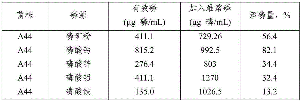 Efficient phosphorus-dissolving growth promoting bacterium, bio-organic fertilizer prepared from efficient phosphorus-dissolving growth promoting bacterium and application