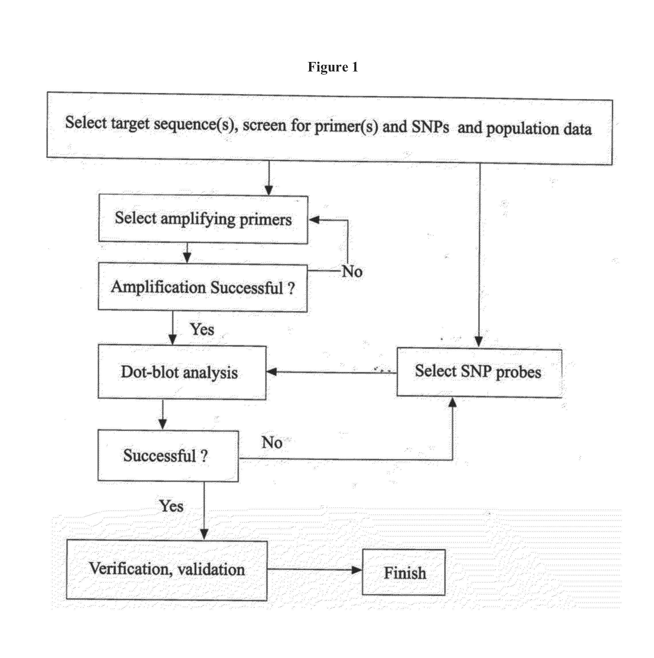 Rapid genotyping analysis and devices thereof