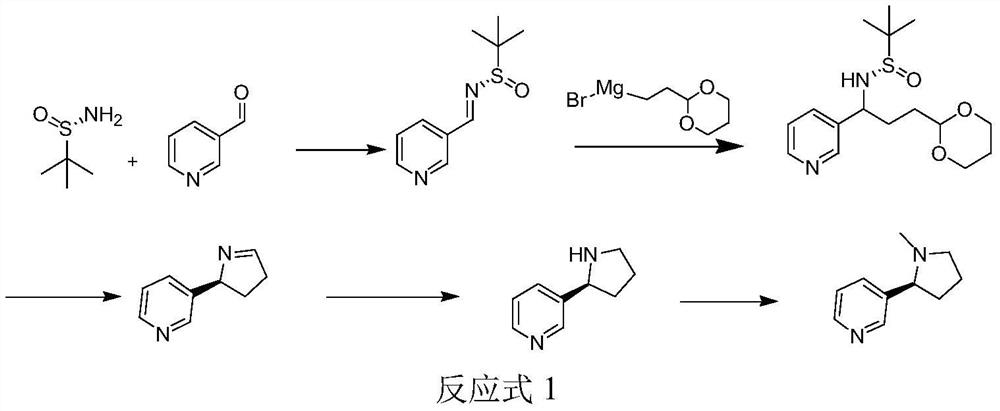 Preparation method for synthesizing chiral nicotine from chiral tert-butyl sulfinamide
