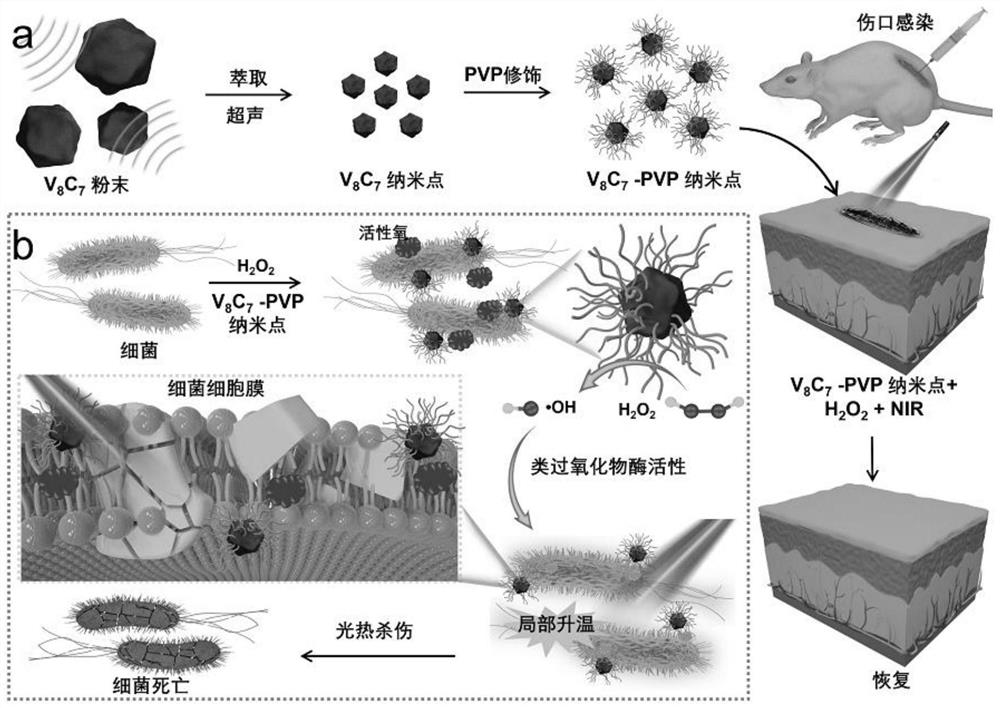 Modified vanadium carbide nanodot for chemical power and photo-thermal synergistic antibiosis as well as preparation method and application of modified vanadium carbide nanodot