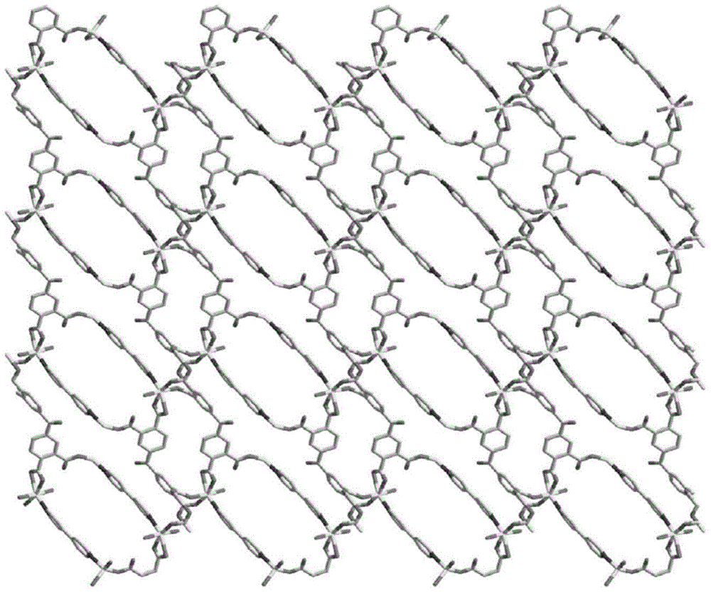 Binuclear zinc complex serving as mercury ion fluorescent probe and preparation method of same