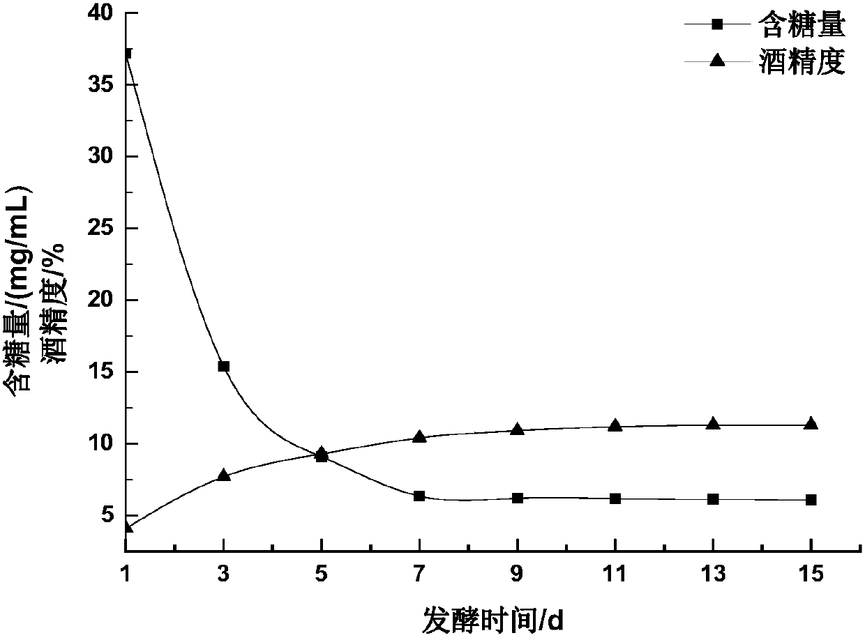 Functional semen ginkgo and barley wine and preparation method thereof
