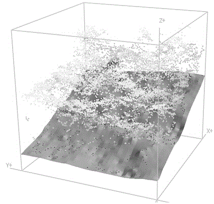 Tree species classification method based on LiDAR (Light Detection and Ranging) false-vertical waveform model