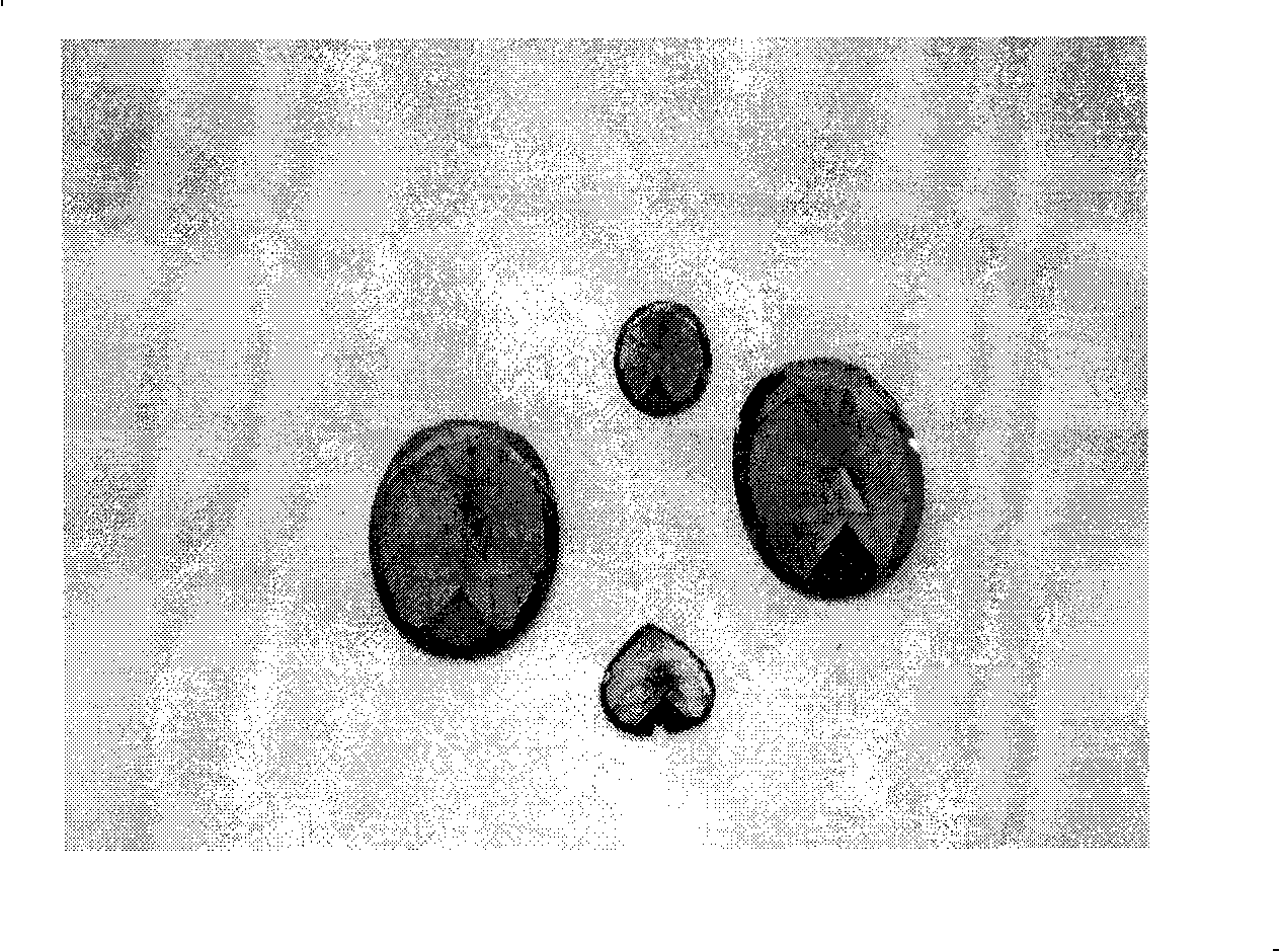 Beryllium aluminate crystal substrate color changing gem, and preparation and growth apparatus thereof