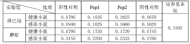 Functional mycobacterium tuberculosis antigen polypeptide and application thereof