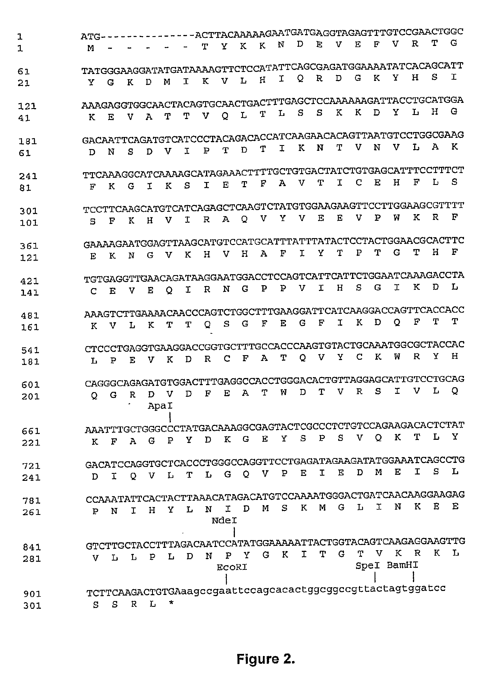 Variant Forms of Urate Oxidase and Use Thereof