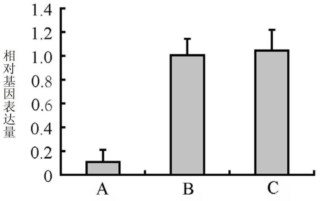 Feruloyl esterase PCFAE2 deriving from phytophthora capsici leonian and coding gene and application of feruloyl esterase PCFAE2