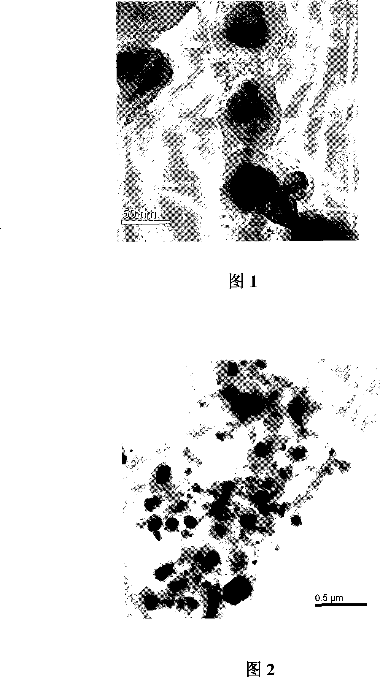 Heat treatment method for preparing carbon coating nano composite particles by using gas carbon source