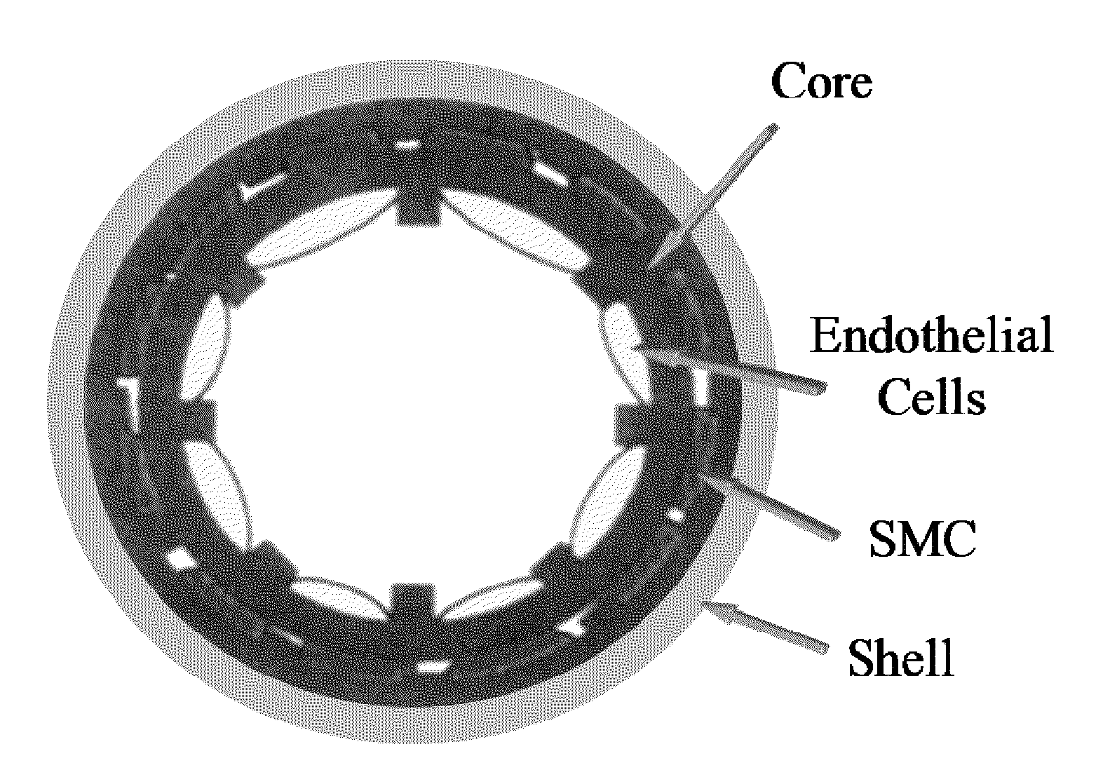 Bionanocomposite Materials and Methods For Producing and Using the Same
