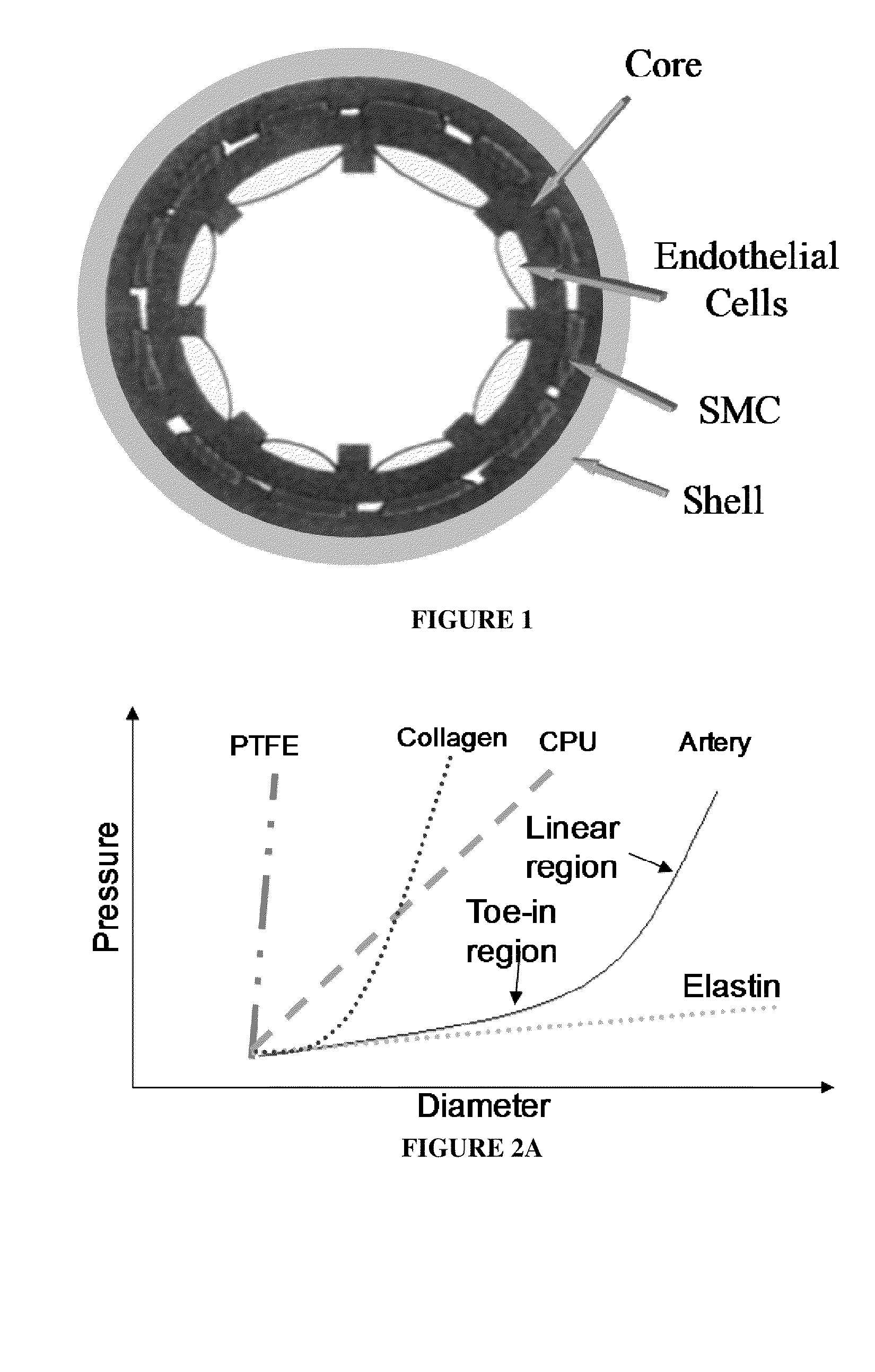 Bionanocomposite Materials and Methods For Producing and Using the Same