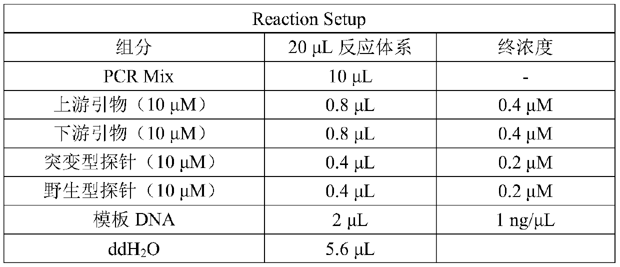 Kit for detecting mutation of locus L858R of EGFR gene