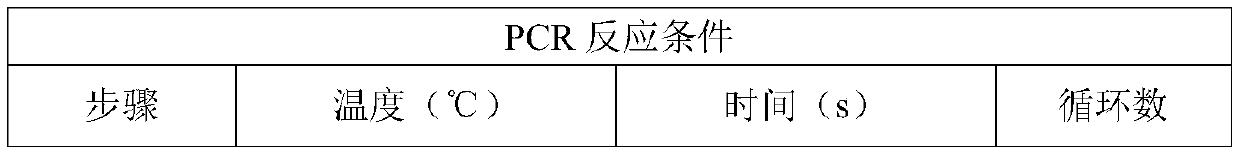 Kit for detecting mutation of locus L858R of EGFR gene