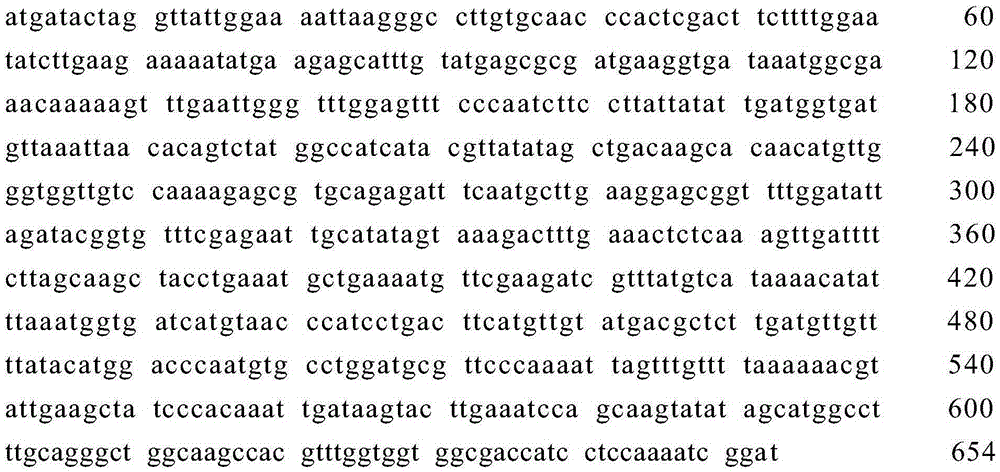 Multi-tag antigen, and preparation method and application thereof