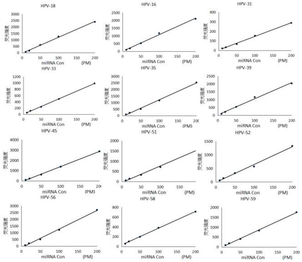 A rapid detection method, liquid phase chip and kit for human papillomavirus