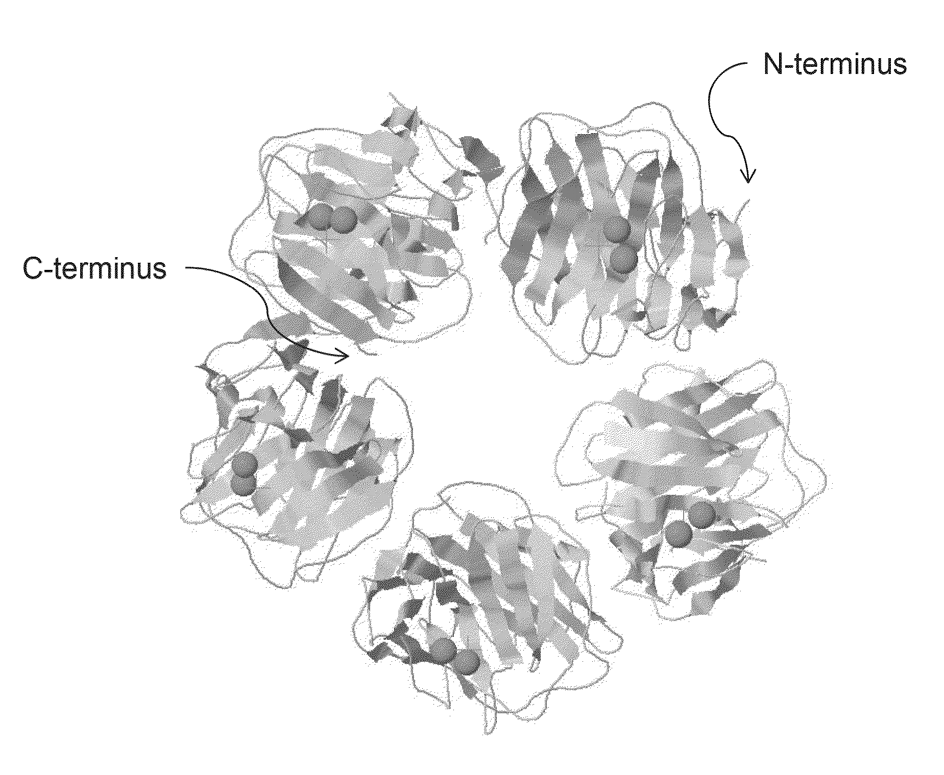 Serum amyloid p-antibody fusion proteins