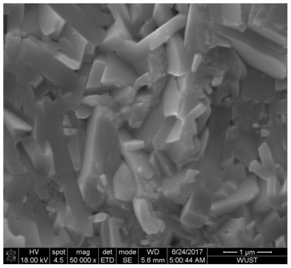 A kind of Pb/ba double-doped bicuseo thermoelectric material and preparation method thereof