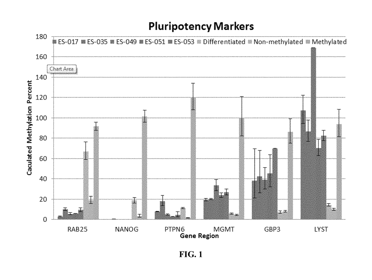 Epigenetic markers of pluripotency