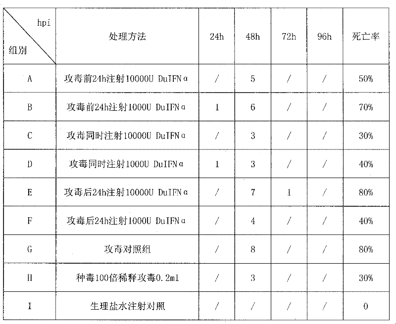 Method for preparing recombinant duck alpha-interferon