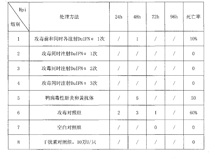 Method for preparing recombinant duck alpha-interferon