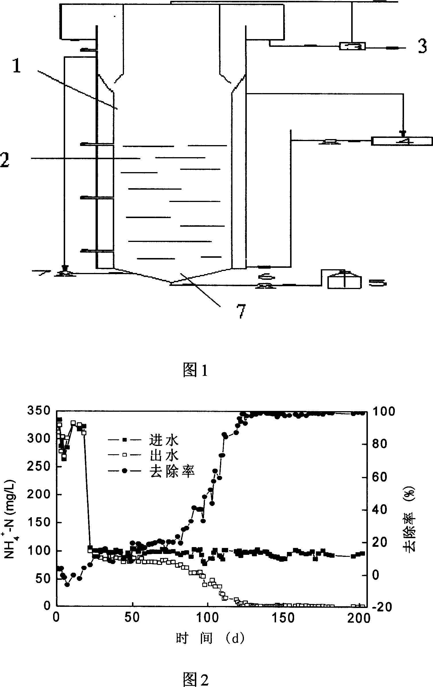 Anerobic ammoxidation and denitrification synergistic denitrification method for garbage leachate