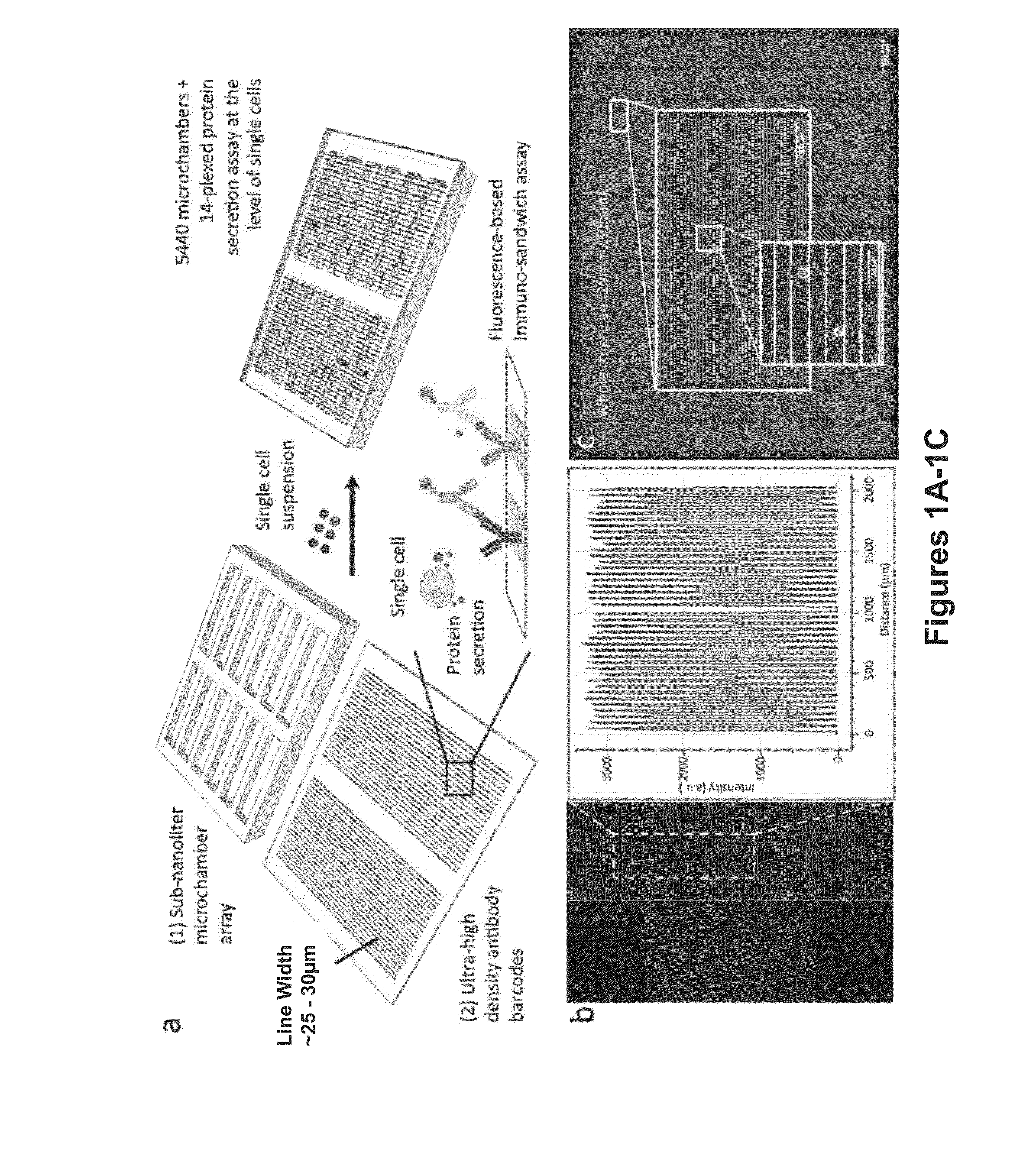System, device and method for high-throughput multi-plexed detection